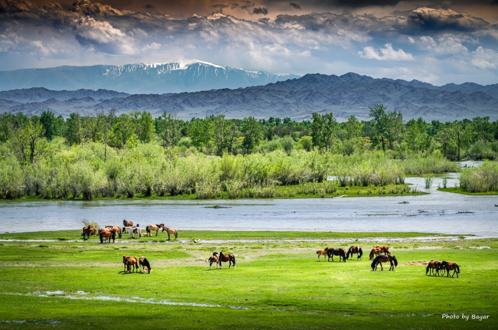 Монголия основное. Walking Home from Mongolia.