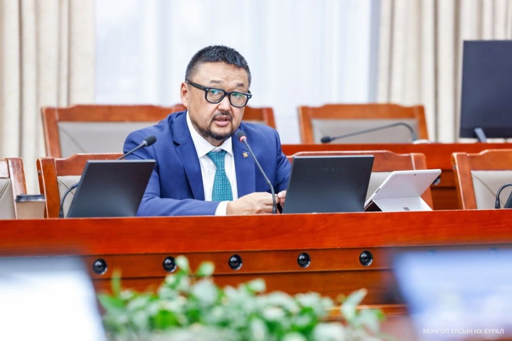 З.Мэндсайхан: Тэвчиж болох зардлыг бууруулж, төр өөрөөсөө хэмнэлт хийж, бүсээ чангална