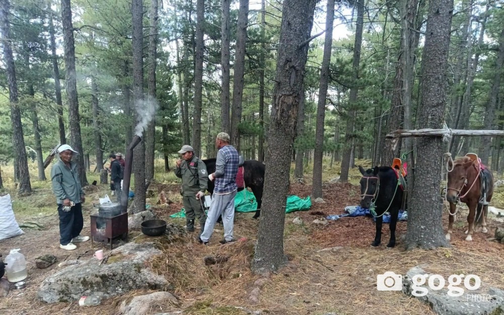 Самар түүж байсан 50 орчим иргэний муна, шигшүүрийг эвдүүлж, уулнаас буулгажээ